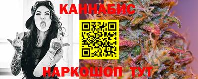 индика Лесосибирск